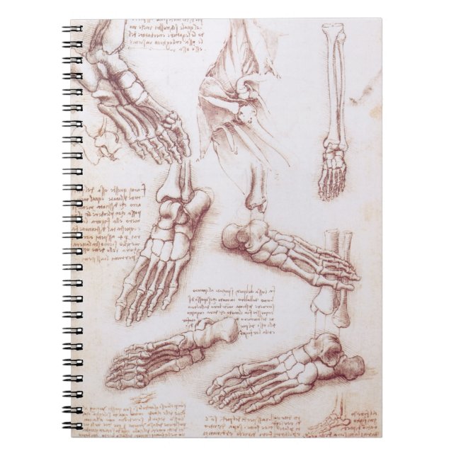Cuaderno Los huesos de pies de anatomía humana de Leonardo  (Frente)