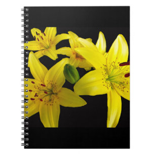 Cuaderno Los ilicios asiáticos en negro