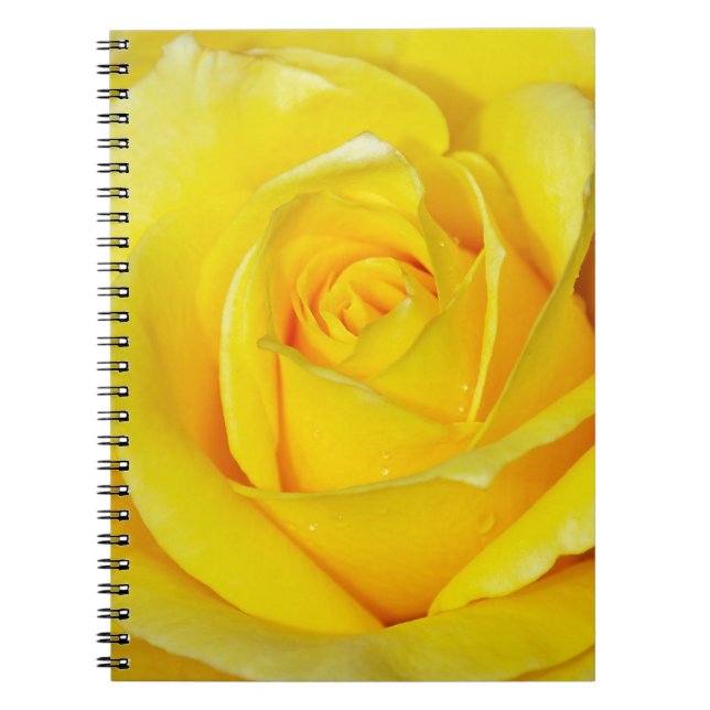 Cuaderno Los pétalos de rosa amarillos hermosos (Frente)