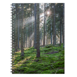 Cuaderno Los rayos de sol en la Selva Negra