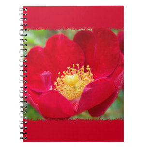Cuaderno Los rosas son portátiles rojos