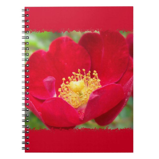 Cuaderno Los rosas son portátiles rojos (Frente)