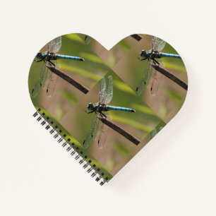 Cuaderno Los rumores del amor