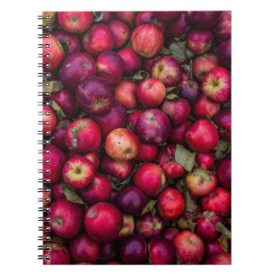 Cuaderno Lote de manzanas rojas
