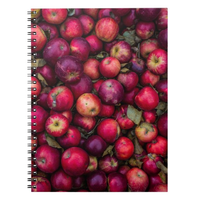 Cuaderno Lote de manzanas rojas (Frente)