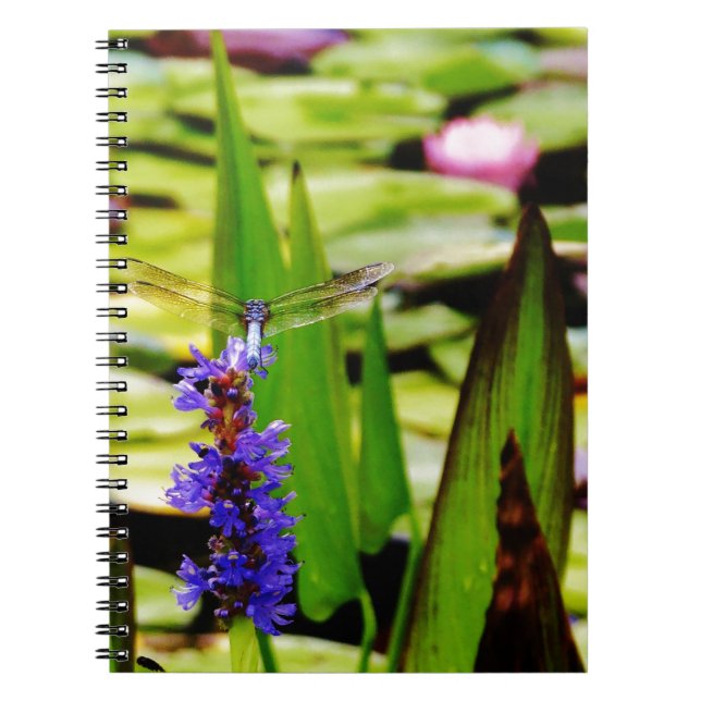 Cuaderno Loto de la libélula y flor púrpura (Frente)