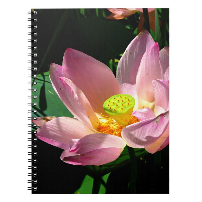 Cuaderno Lotus Blossom (Frente)