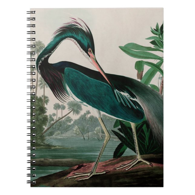 Cuaderno Louisiana Heron Birds of America Audubon Print (Frente)
