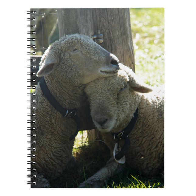 Cuaderno Love Ewe Sheep (Frente)
