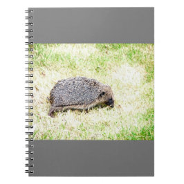 Cuaderno Love Hedgehogs