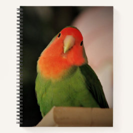 Cuaderno Lovebird