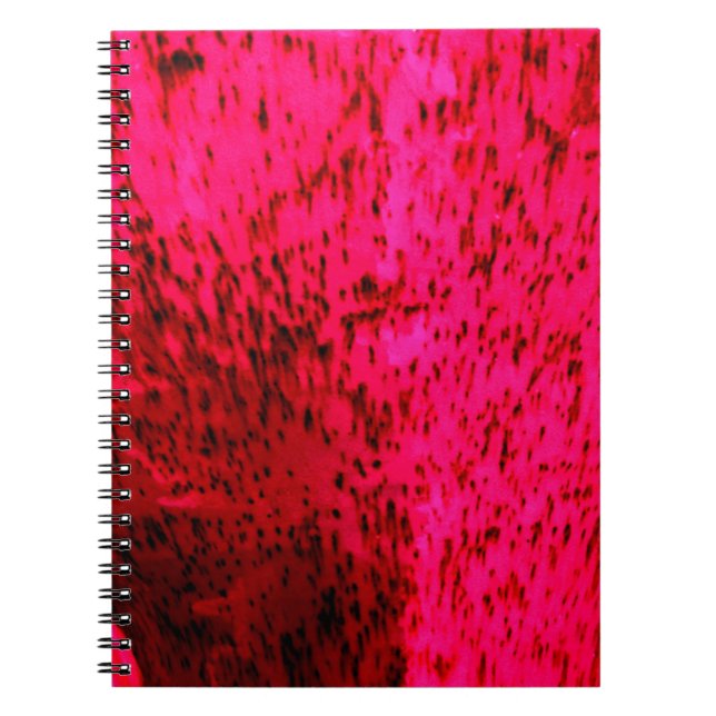 Cuaderno Loza de Fresa (Frente)