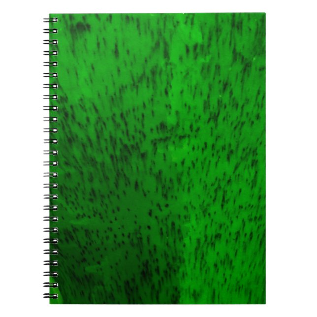 Cuaderno Loza verde lima (Frente)