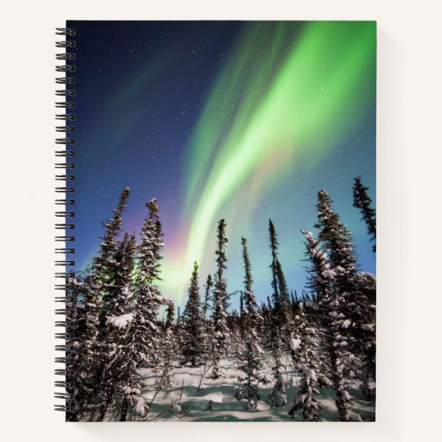 Cuaderno Luces boreales | Parque nacional Denali (Anverso)