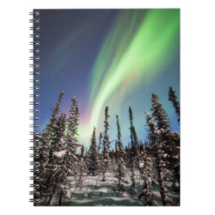 Cuaderno Luces boreales   Parque nacional Denali