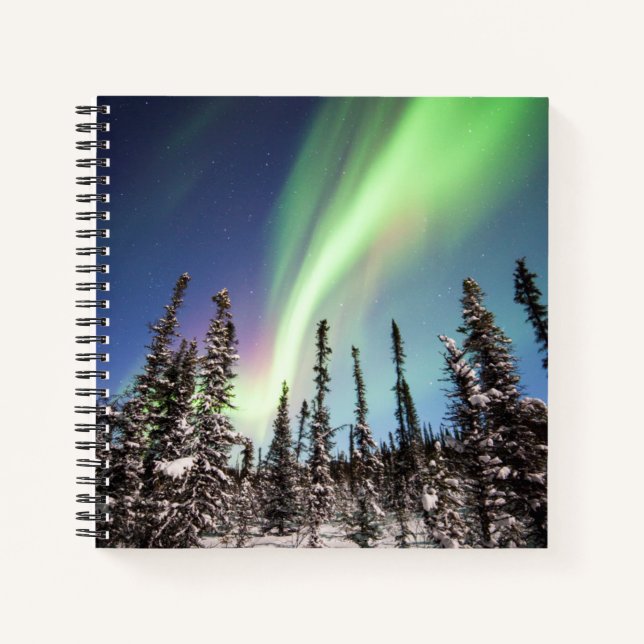 Cuaderno Luces boreales | Parque nacional Denali (Anverso)