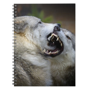 Cuaderno Lucha del lobo
