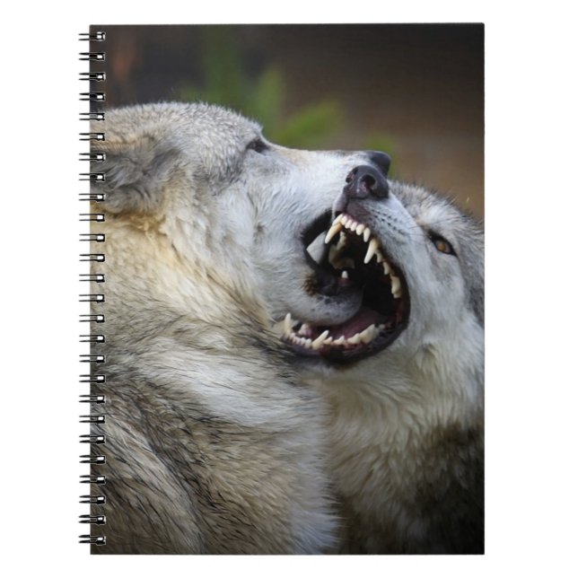 Cuaderno Lucha del lobo (Frente)
