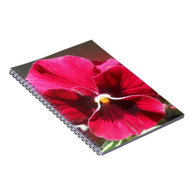 Cuaderno Lucrezia (Lado Derecho)