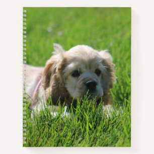 Cuaderno Luna