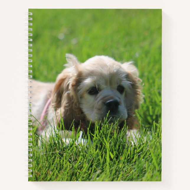 Cuaderno Luna (Anverso)