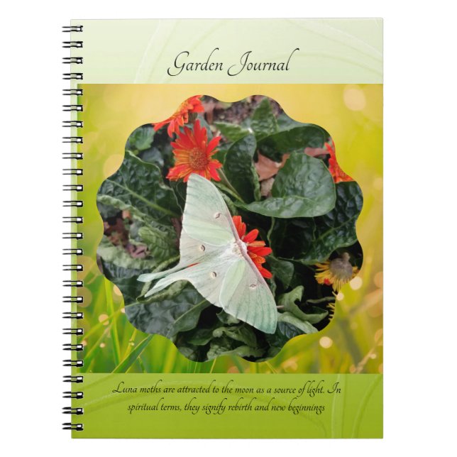Cuaderno Luna Moth cautivador (Frente)