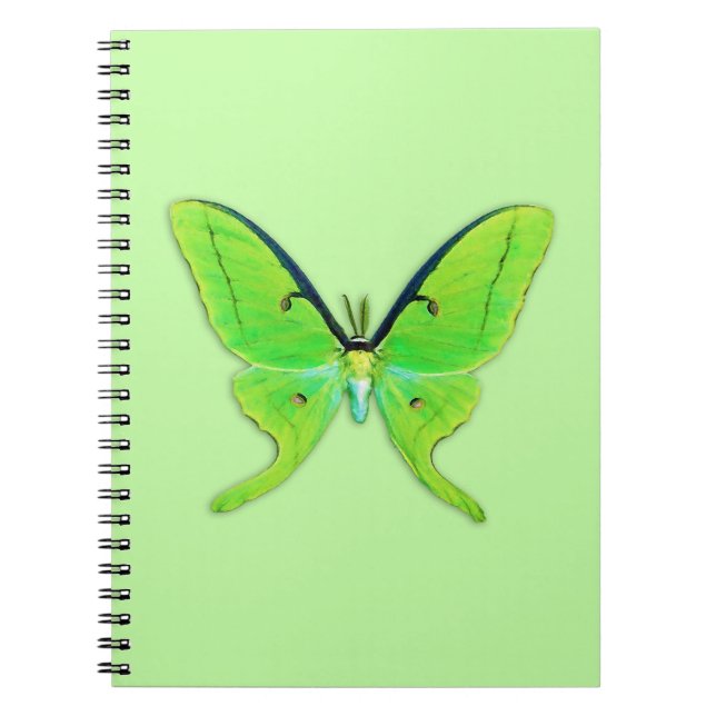 Cuaderno Luna polilla sobre un fondo verde pálido (Frente)