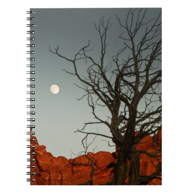 Cuaderno Luna traviesa (Frente)