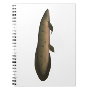 Cuaderno Lungfish australiano