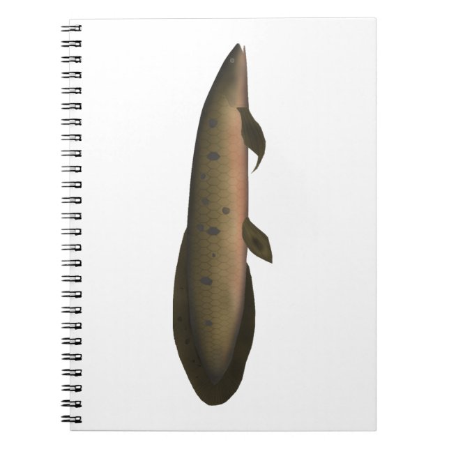 Cuaderno Lungfish australiano (Frente)