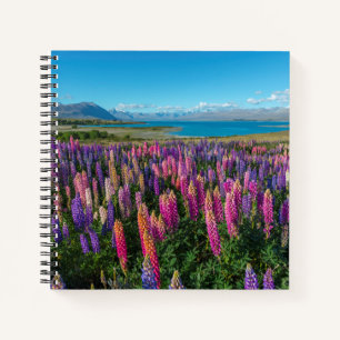 Cuaderno Lupines rusos en el lago Tekapo Nueva Zelanda