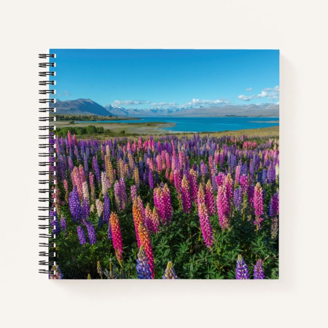 Cuaderno Lupines rusos en el lago Tekapo | Nueva Zelanda (Anverso)