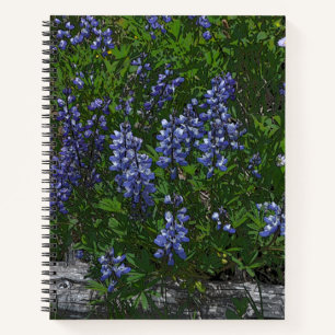 Cuaderno Lupinos