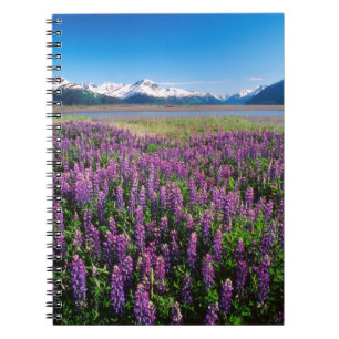 Cuaderno Lupinos en flor Montañas Kenai, Alaska