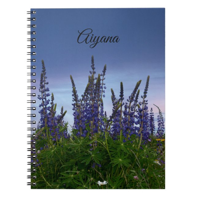Cuaderno Lupins (Frente)