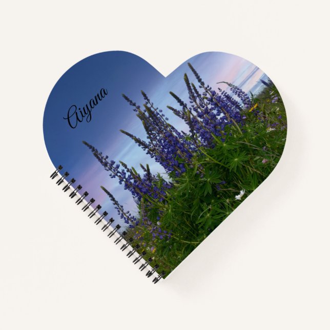 Cuaderno Lupins (Anverso)