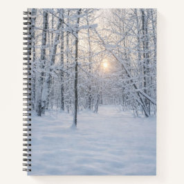 Cuaderno Luz de invierno en un tranquilo bosque de abedules