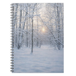 Cuaderno Luz de invierno en un tranquilo bosque de abedules