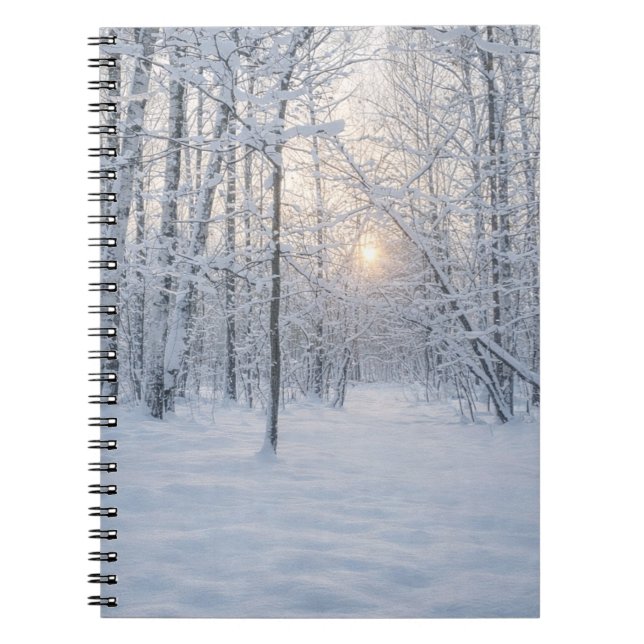 Cuaderno Luz de invierno en un tranquilo bosque de abedules (Frente)