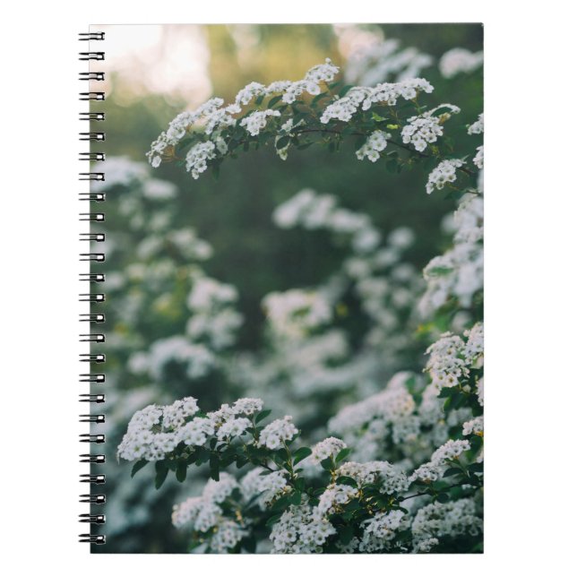 CUADERNO LUZ DE LA MAÑANA (Frente)