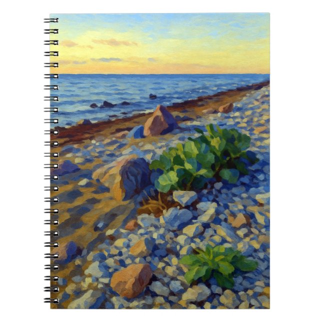 Cuaderno Luz de la tarde en la costa de Vormsi (Frente)