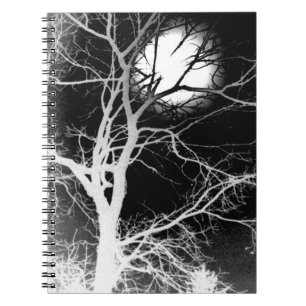 Cuaderno Luz de luna