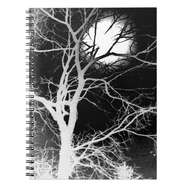 Cuaderno Luz de luna (Frente)