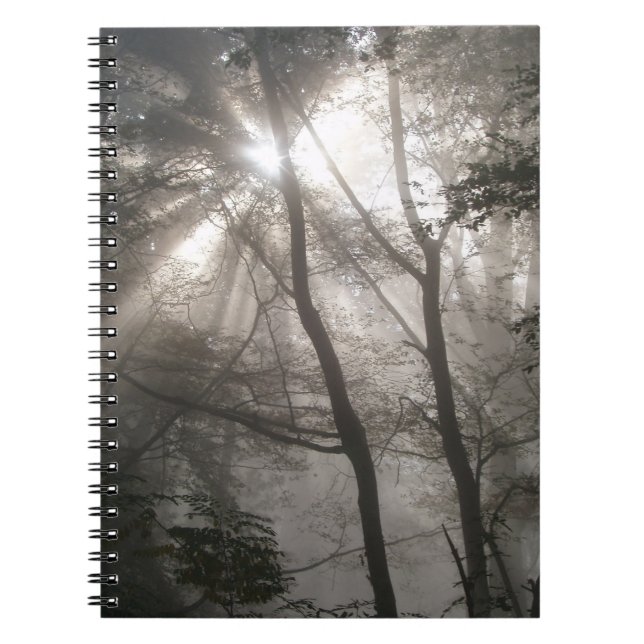Cuaderno Luz del sol a través de árboles, bosque oscuro (Frente)