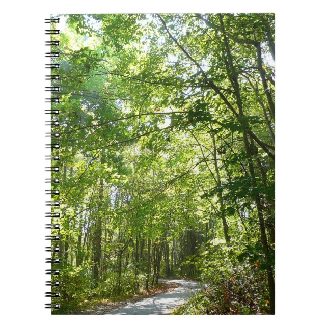 Cuaderno Luz del sol en ruta de madera en el parque Centenn (Frente)