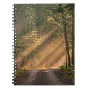 Cuaderno Luz del sol que brilla a través de un bosque
