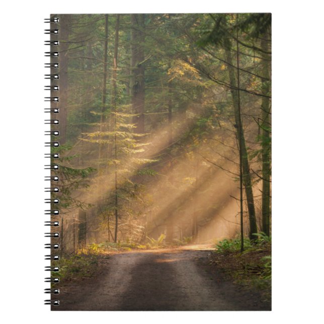 Cuaderno Luz del sol que brilla a través de un bosque (Frente)
