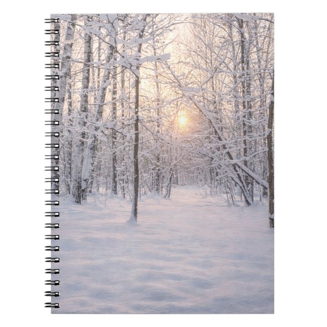 Cuaderno Luz_dorada_de_invierno (Frente)