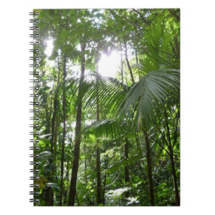 Cuaderno Luz solar a través de la selva tropical con cubier