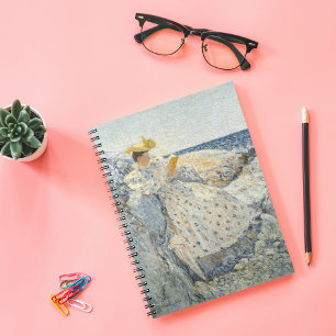 Cuaderno Luz solar de verano   Childe Hassam